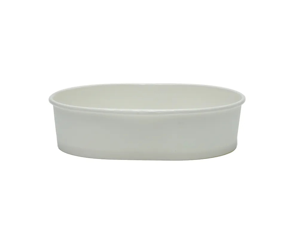 Paper Bowl