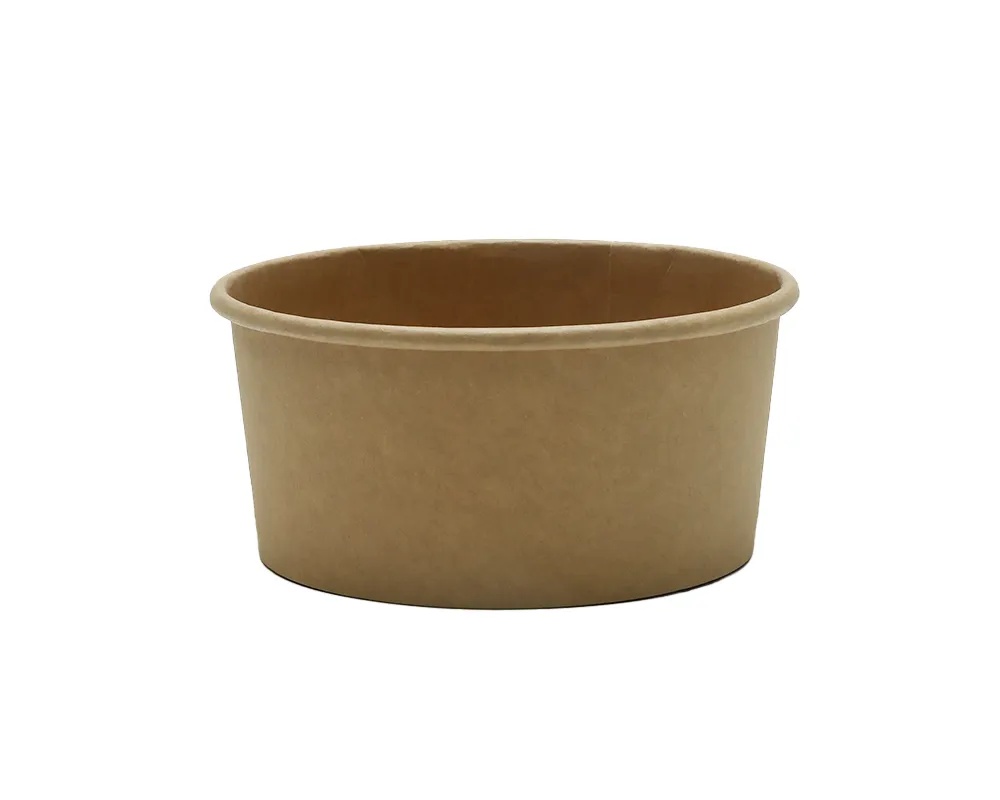 Paper Bowl