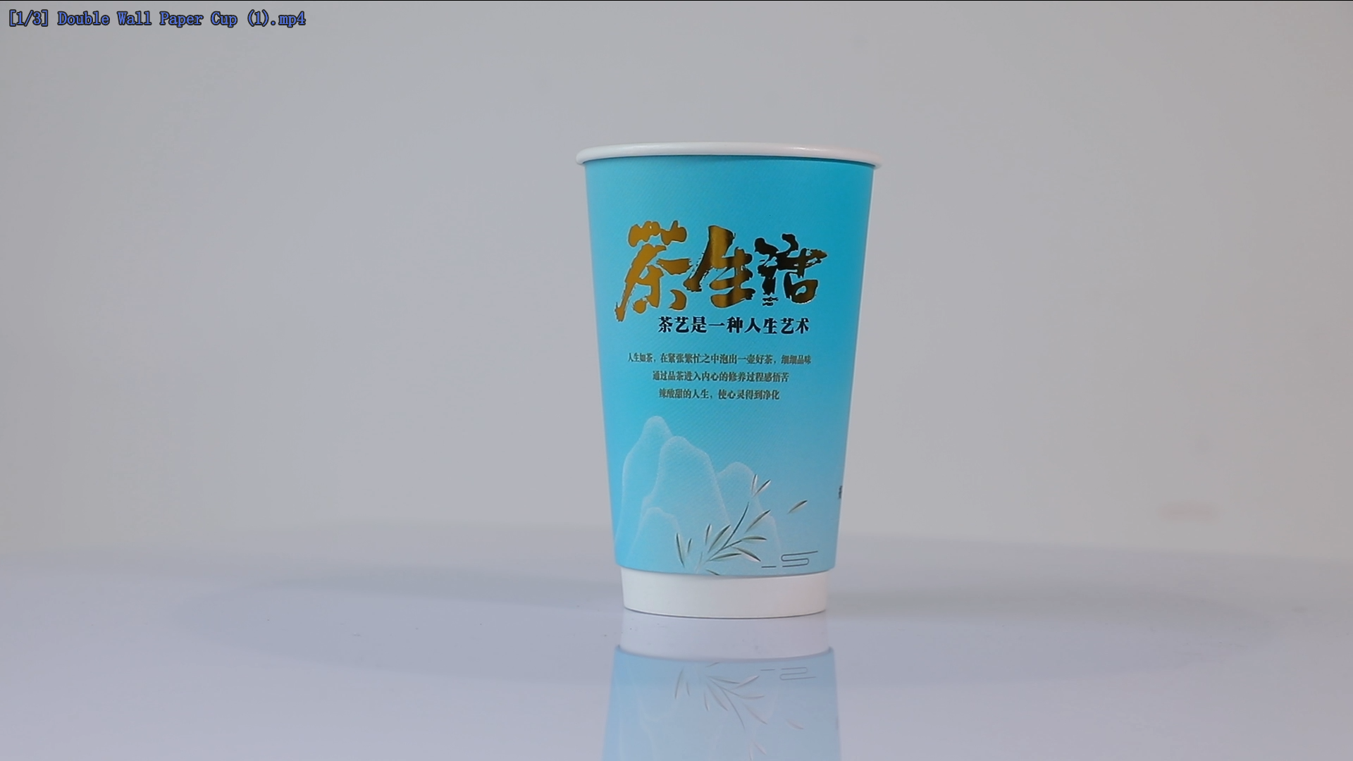 Double Wall Paper Cup (1)