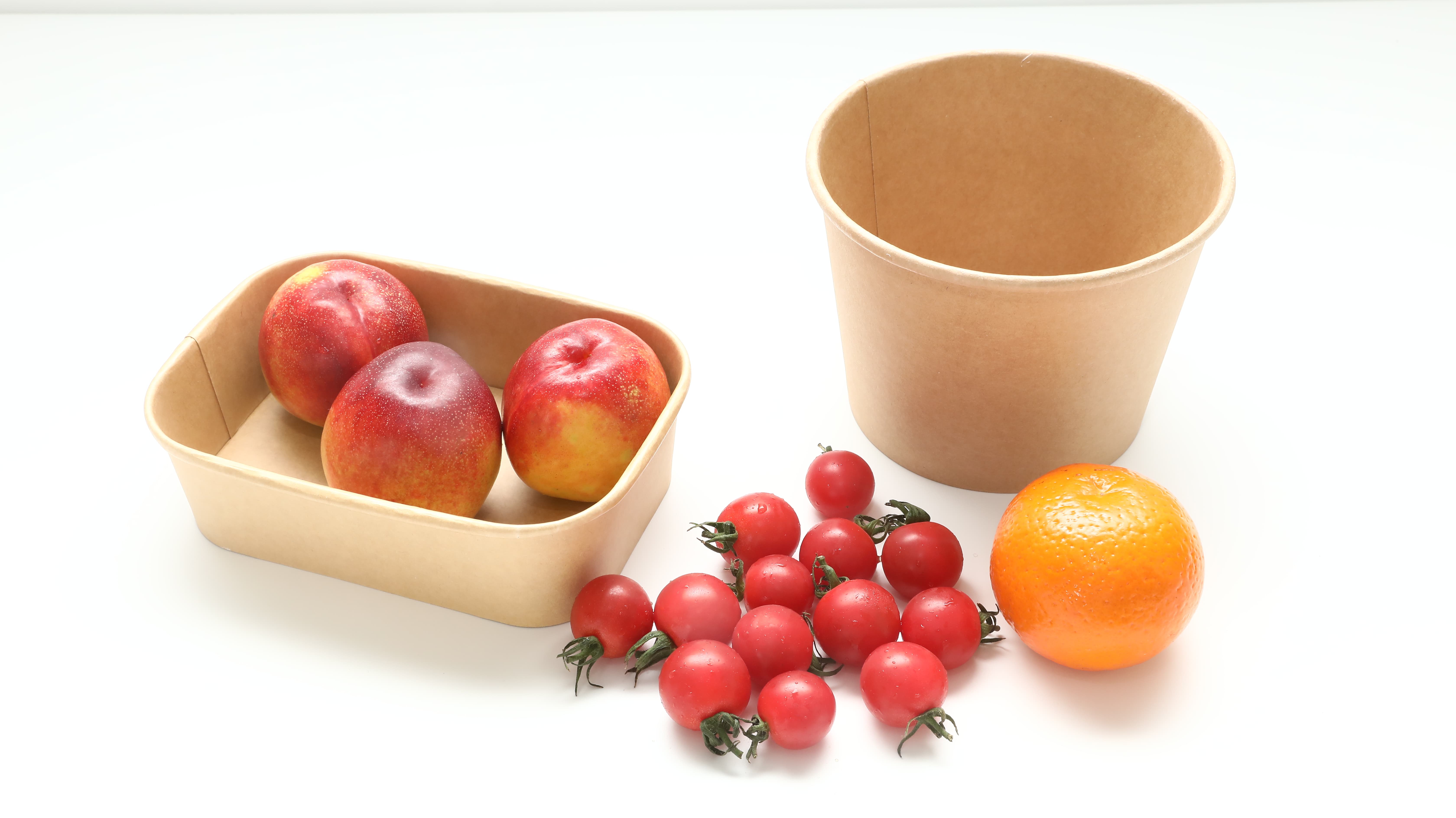Paper Bowl