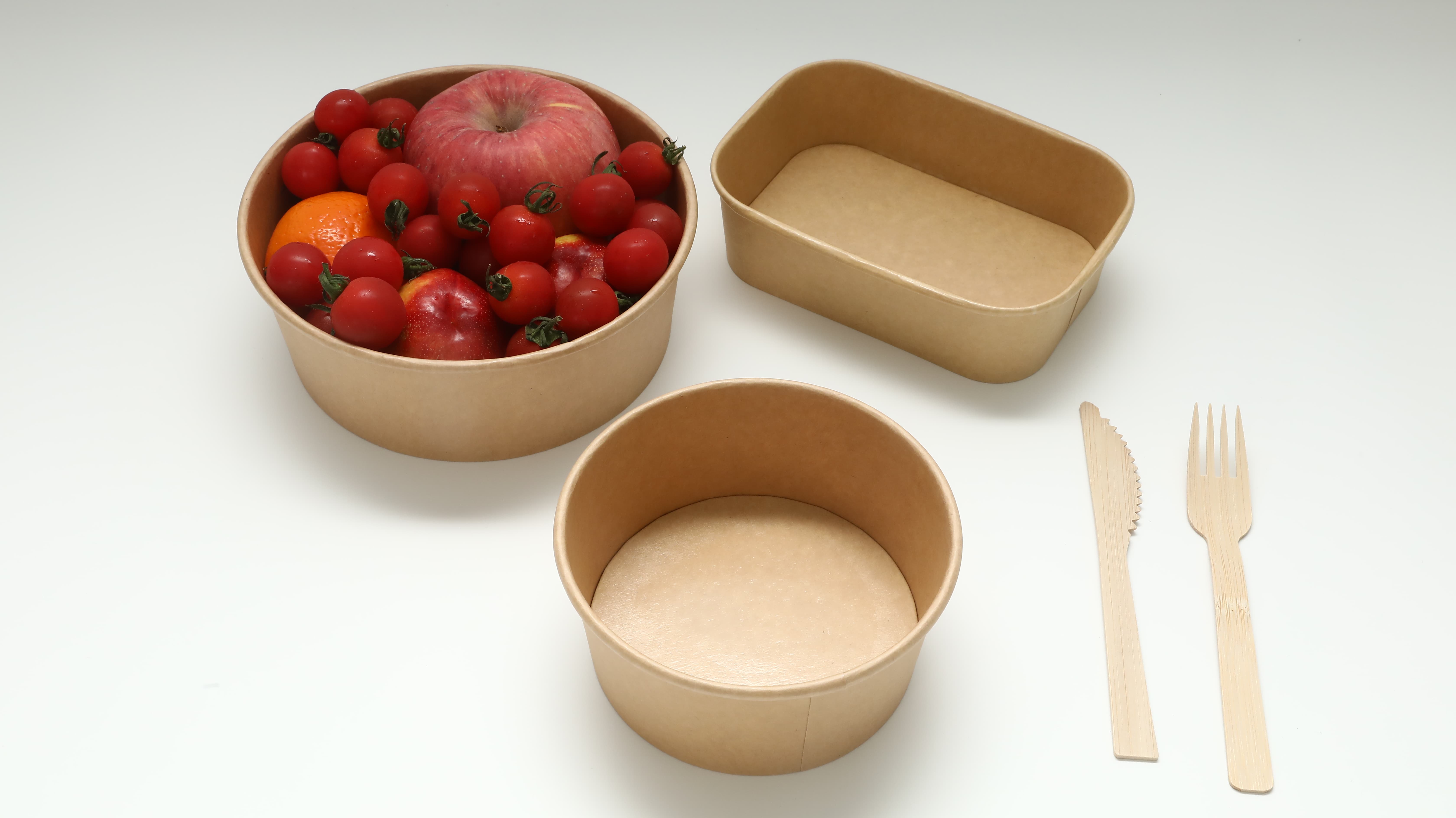 Paper Bowl